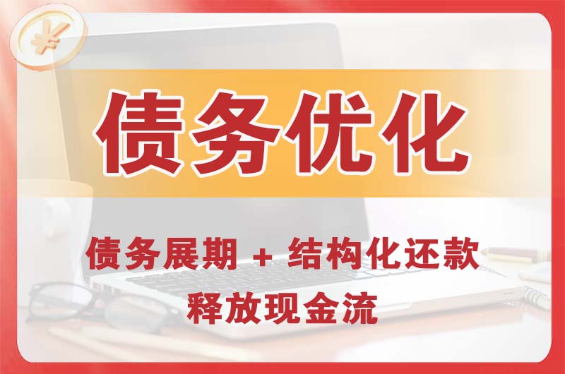 文山债务优化